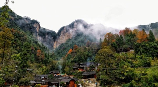 稻花香里说丰年 | 拾野小乡村，静享秋日美好