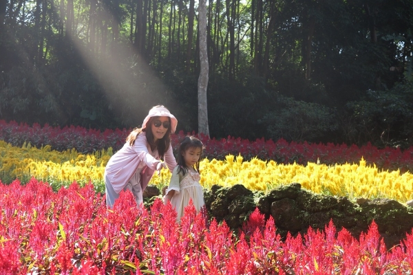 旅游 | 广西南宁青秀山秋日美景迎客来