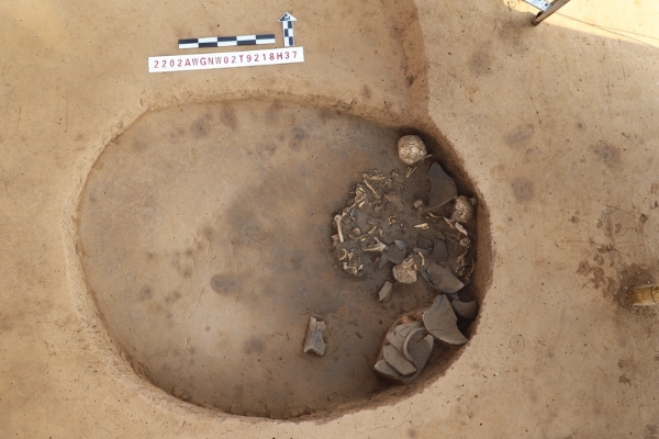 文物 | 聚焦殷墟考古与甲骨文研究重要成果及新进展