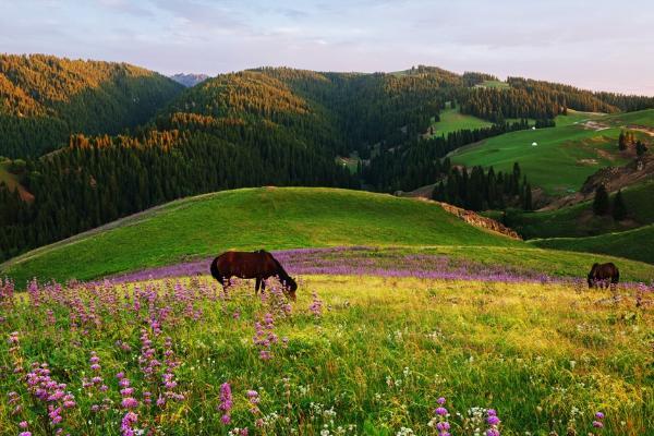 稻花香里说丰年 | 七彩万亩旱田养心之旅