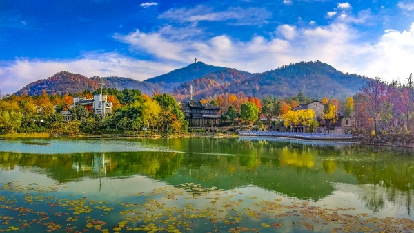 稻花香里说丰年 | “丰收喜悦 灵动乡野”体验之旅