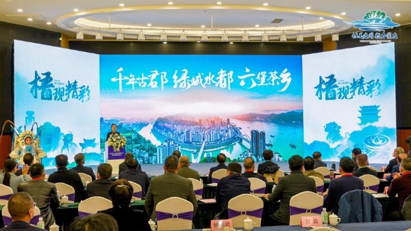 旅游 | 梧州市当选2024年广西文化旅游发展大会承办城市