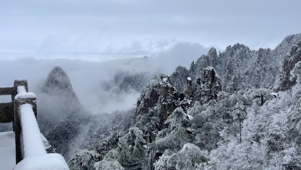 旅游 | 黄山迎来今冬首场降雪和雾凇