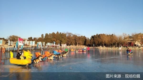图片来源：现场拍摄  图为2022年1月拍摄颐和园冰场画面