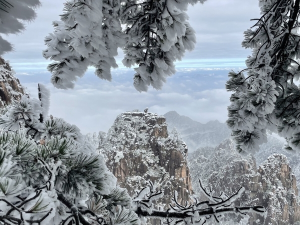 旅游 | 黄山之巅琉璃雪景惊艳游人