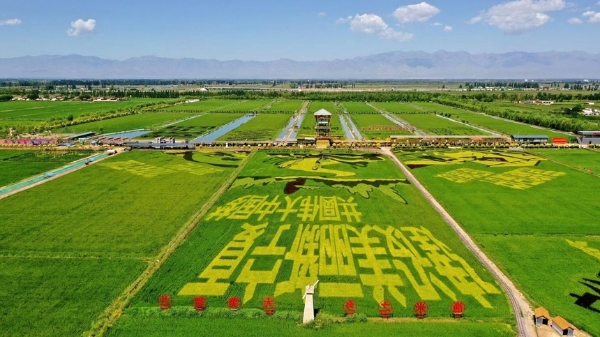 旅游 | 宁夏全域旅游示范区家族再添新成员