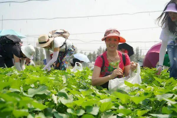 旅游 | “世界美食之都”碟碟都是“平靓正”