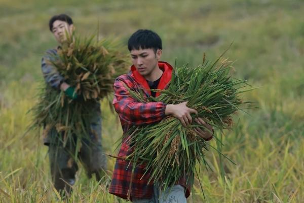 《种地吧》：走进生动的农田课堂，传递引领价值的现实力量