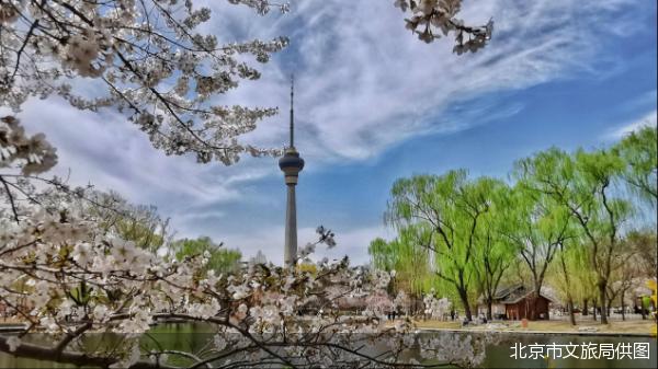 北京市文旅局供图