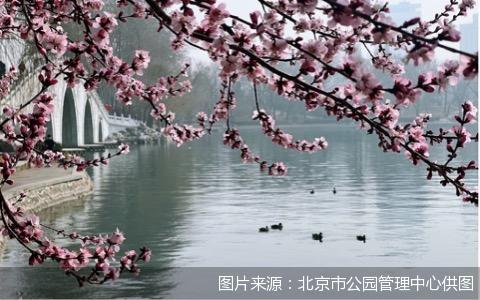 图片来源：北京市公园管理中心供图