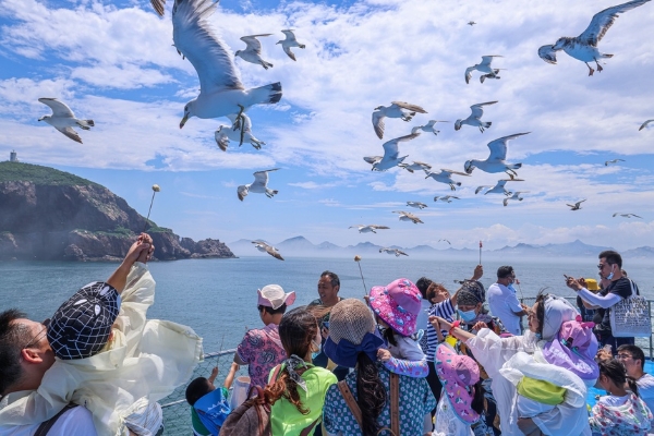 旅游 | 来山东之东，与鸥鹭为伴，与海天相拥