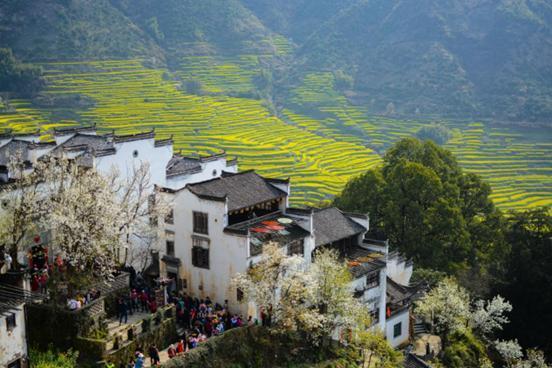 旅游 | 十载春秋的三次转折，婺源篁岭吴向阳与金庸笔下的桃源秘境“卧龙谷”再次结缘