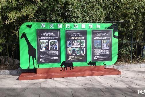 北京动物园多举措整治不文明游园行为