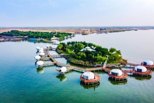 旅游 | 宁夏沙湖国际观鸟节将于4月下旬盛大启幕