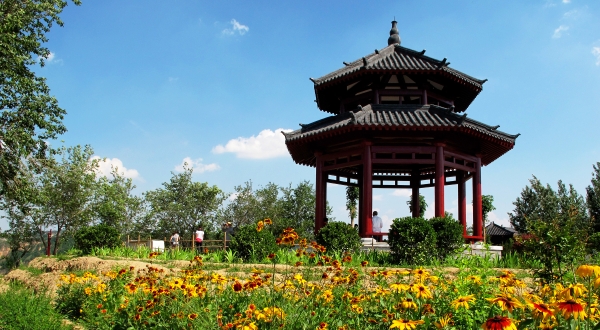 国家级旅游度假区 | 三门峡天鹅湖旅游度假区：在天鹅之乡观黄河，这个度假区与自然共生靠自然发展