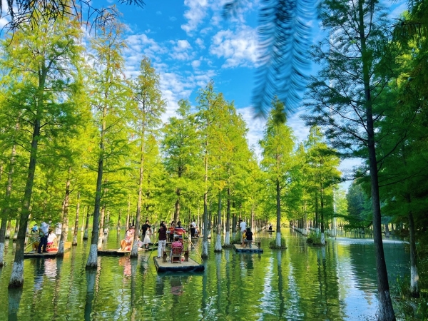 春和景明篇 | 江苏·“一湖风韵 生态风光”洪泽湖生态文化行