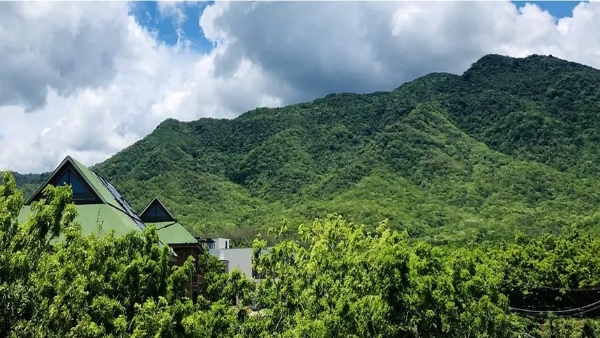 乡村新体验篇 | 海南·昌江 东方芒果飘香之旅