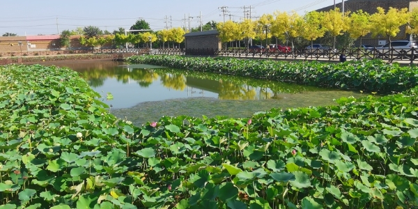 乡村新体验篇 | 天津·趣玩春日游