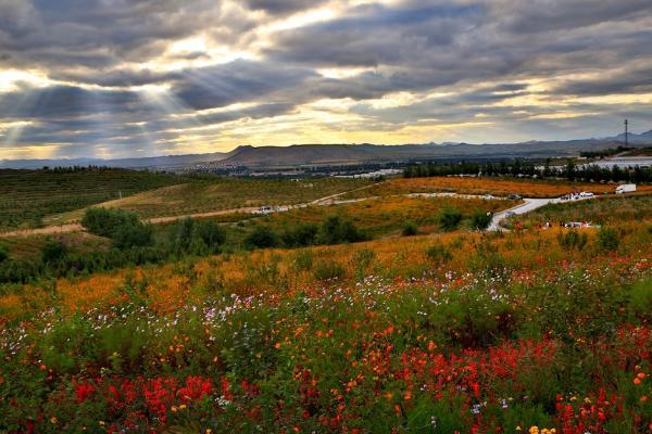 春和景明篇 | 内蒙古·松山区春季赏花之旅