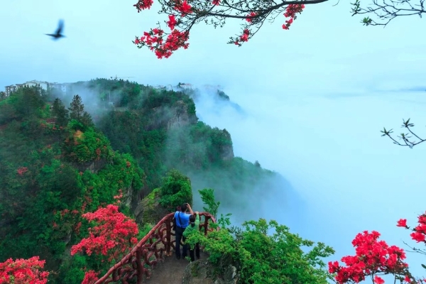 旅游 | 湖北恩施第二届“凉交会”在武汉启动