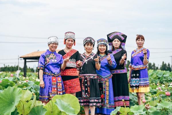 旅游 | 上海市松江区：盛夏荷花惊艳绽放，泖田谷夏季吃住玩又出新招