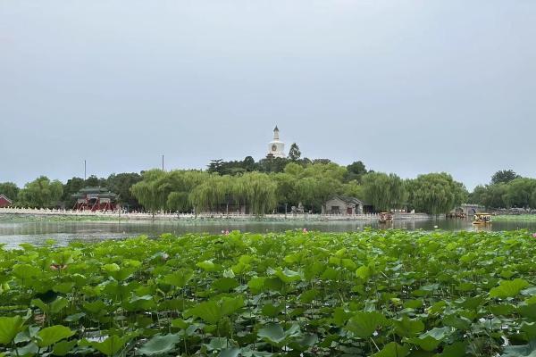 优化预约措施、开通定制公交 北京市文旅局出招应对暑期客流高峰