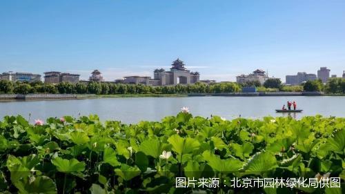 图片来源：北京市园林绿化局供图