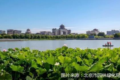 北京全市公园推出151项暑期游园文化活动