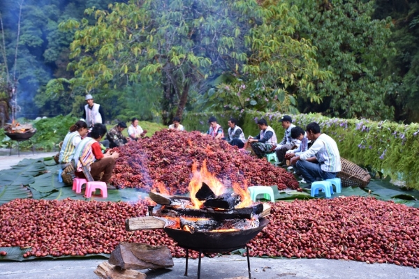 旅游 | 中交助梦.第四届“怒江草果文化周”即将举办