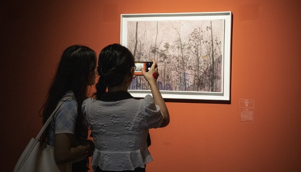 书画 | “南方梦想——桂林山水油画作品展”在广西博物馆开展