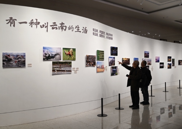 艺术 | “2023·云南省第三届小型艺术作品展”开展