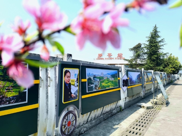 旅游 | 云南：乘火车穿越“金色花海” 寻最美春天
