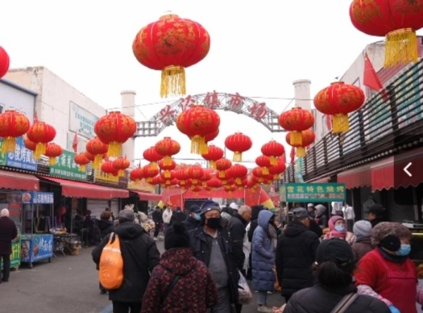 产业 | “龙行龘龘 大集大利”——2024宁夏西夏区农业嘉年华暨葡萄酒促销节正式启动