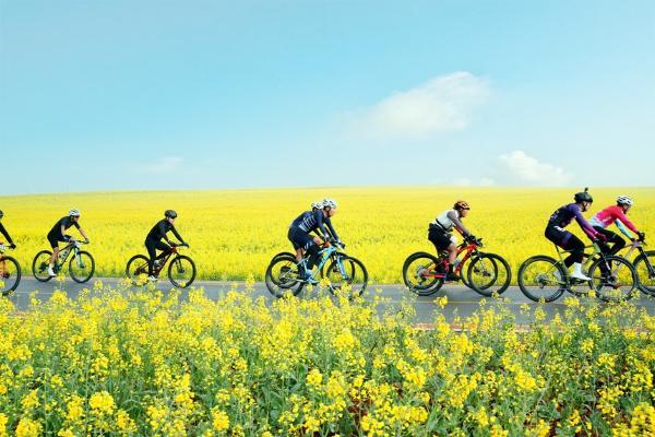 公共 | 2024天天向上·云南罗平第九届花海山地自行车赛精彩开赛