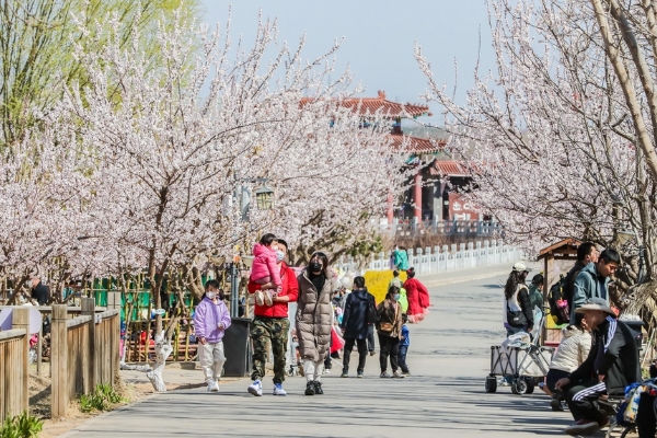旅游 | 探寻“漫步丰台”好去处 北京丰台推出7条City Walk城市漫步路线