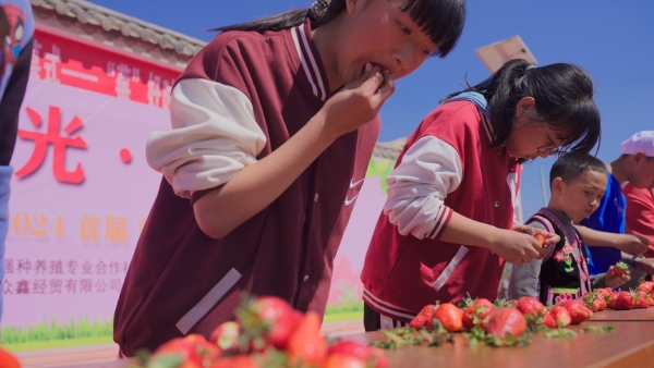 旅游 | 云南武定：花桥草莓甜 乡村“丰”景好