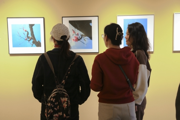 书画 | “梅语季节”黄河文化艺术展在郑州开幕