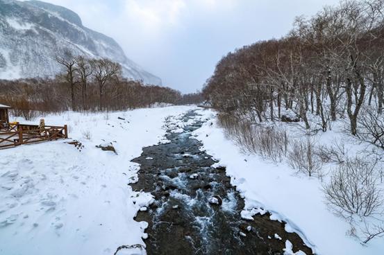 第一批大湾区早鸟，已经在吉林“定居”了？