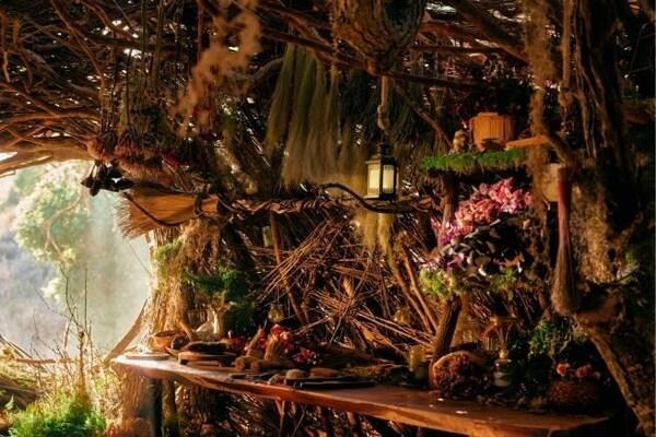 爱彼迎邀你走进《魔法坏女巫2》的森林秘境，与“艾芙芭”共赴奇幻旅程