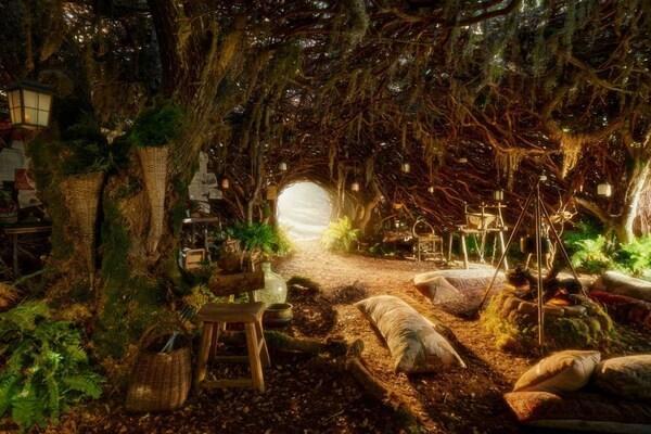 爱彼迎邀你走进《魔法坏女巫2》的森林秘境，与“艾芙芭”共赴奇幻旅程