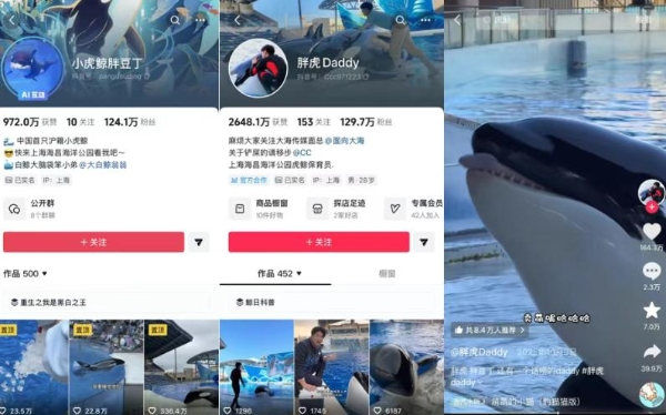 当旅行不再满足于“看见”：参与式消费如何改写酒旅逻辑？