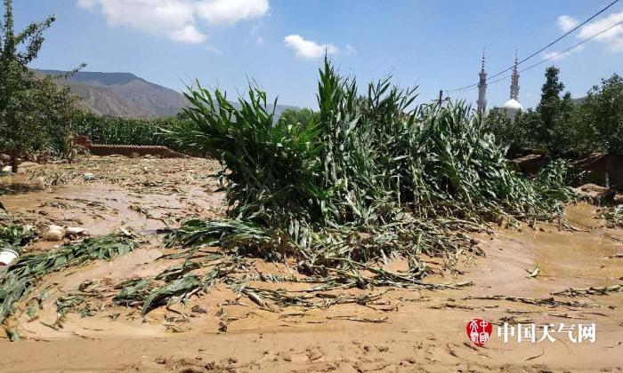 甘肃临夏果园乡遭受洪涝房屋农作物被冲毁