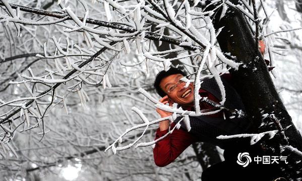 贵阳现凝冻天气雾凇景观受市民追捧
