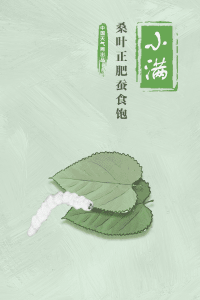 古时小满节气时,新丝已行将上市,丝市转旺在即,蚕农丝商无不满怀期望