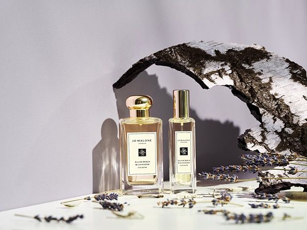 Jo Malone London 白桦木与薰衣草香水全新登场 ! 触发邱泽温柔眼神的香气 ❤