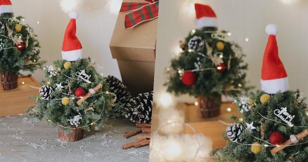 2021 手作系圣诞节礼物推荐！客制化小植栽、DIY编织小物、圣诞树材料包，全部都好可爱！