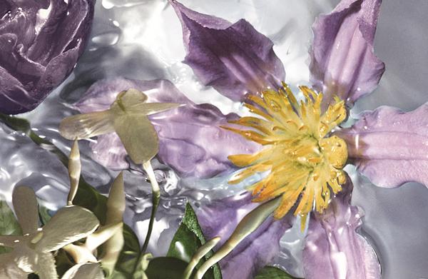 世界就是我们的花园！娇兰「花草水语淡香水香氛系列」是21世纪香水界、自然界更珍贵的美丽结晶！