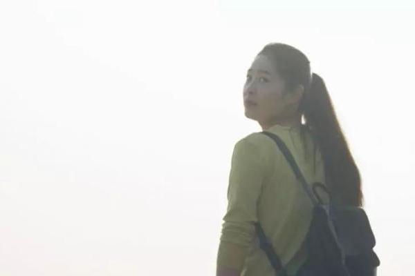 王佳宁：特高压玫瑰的绽放_TOM资讯