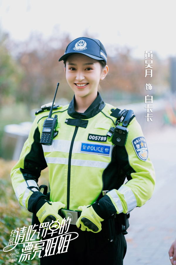 女交警电视剧图片