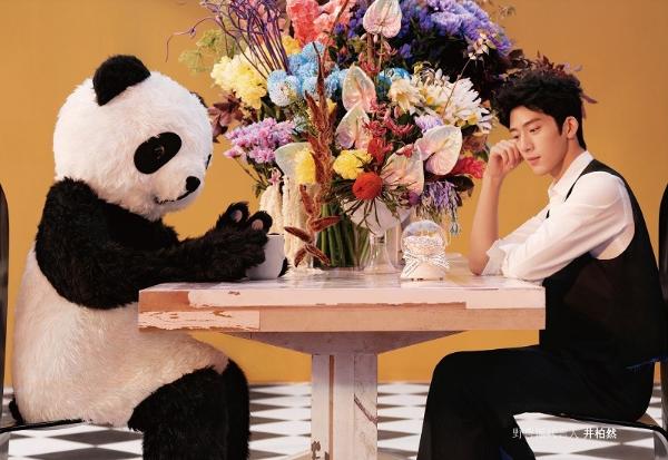 从微博花店起步,成长为艺术生活方式品牌,野兽派与代言人井柏然相伴10